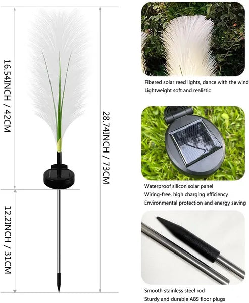 Solar light with feather design, dimensions, and features on a white background