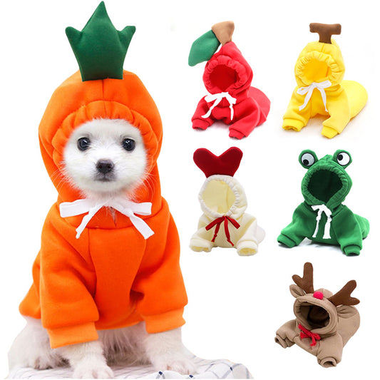 pet clothes