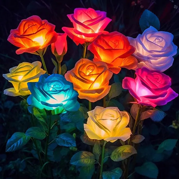 Colorful LED rose lights on a dark background