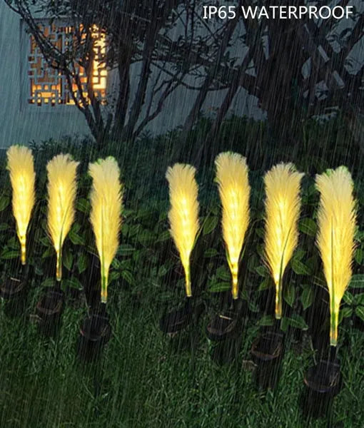 Row of solar-powered pampas grass lights on grass with 'IP65 Waterproof' text above.