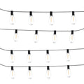 String of clear light bulbs on black wires against a white background