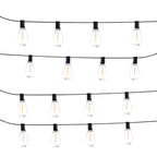 String of clear light bulbs on black wires against a white background