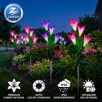 Color-changing solar garden lights with Zainzio branding in a garden setting.