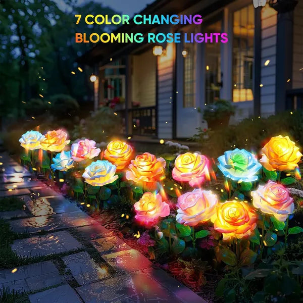 Color-changing rose lights on a pathway in front of a house