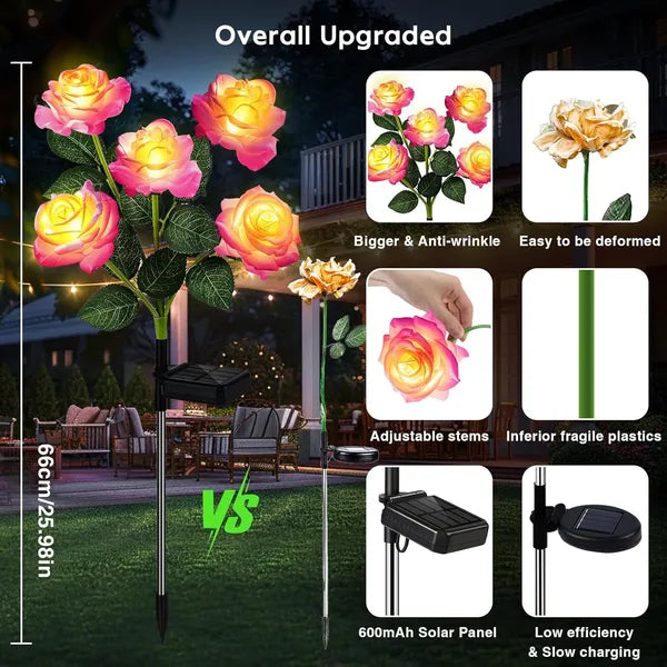 Solar-powered LED rose lights with adjustable stems and solar panel, used outdoors.