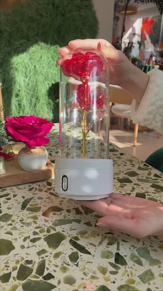 Combine romance and music with the Zainzio LED rose Bluetooth speaker inside a glass dome. Warm LED lights, HD audio. Free US shipping & 30-day return. Shop now.