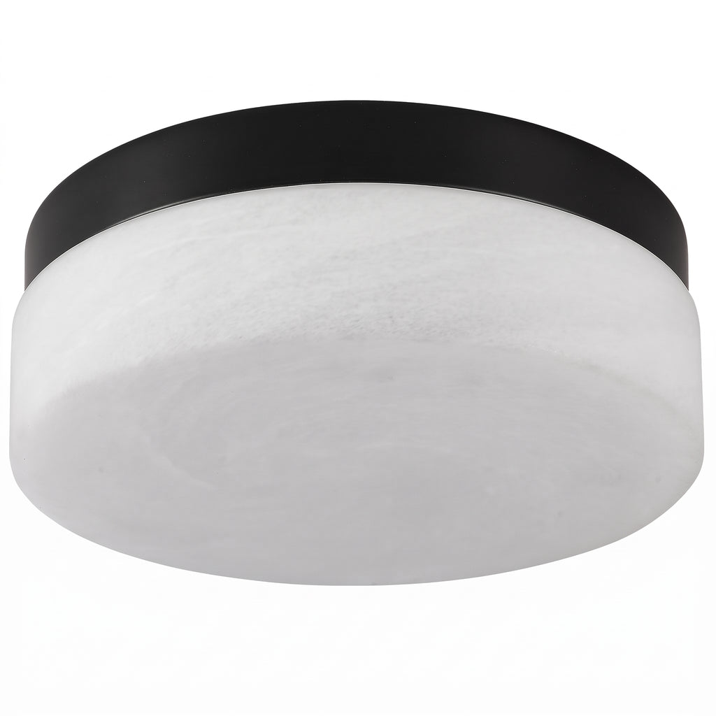 Ceiling light fixture with black rim and white diffuser on a white background