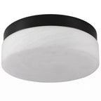 Ceiling light fixture with black rim and white diffuser on a white background