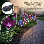 Zainzio solar lily lights with color-changing LED blooms lining a garden pathway at dusk