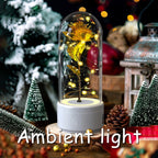 A preserved gold flower inside a clear glass dome with warm white LED fairy lights, set on a white base in a festive holiday scene with Christmas trees, pinecones, and a lantern. Large text at the bottom reads 'Ambient light'.