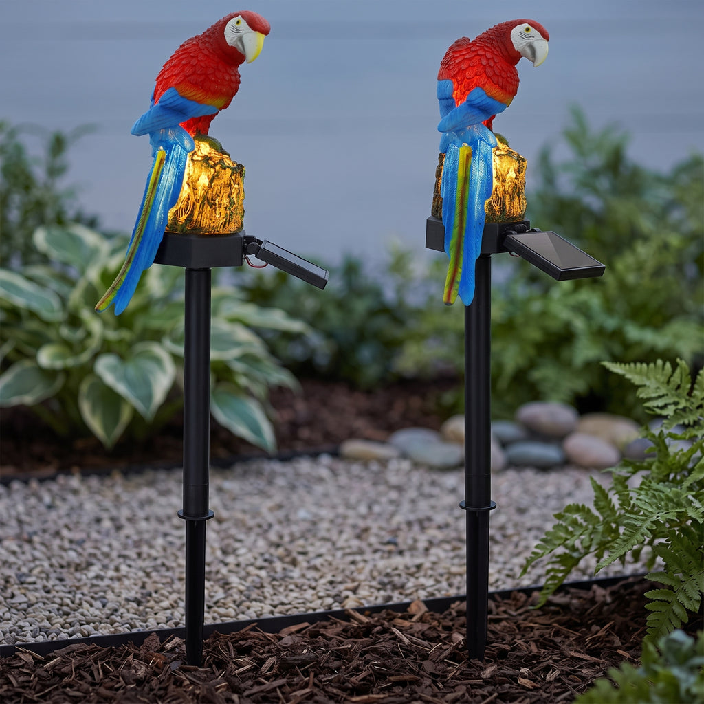Two solar-powered parrot garden stakes with red, blue, and yellow macaroon statues perched on gold-colored rocks, set in a garden bed with mulch, gravel, and green plants.