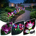 Zainzio solar lily lights with color-changing pink and purple fabric petals illuminating a garden pathway at night.
